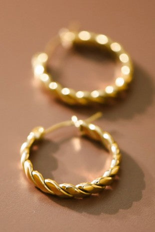 Hoop Earrings